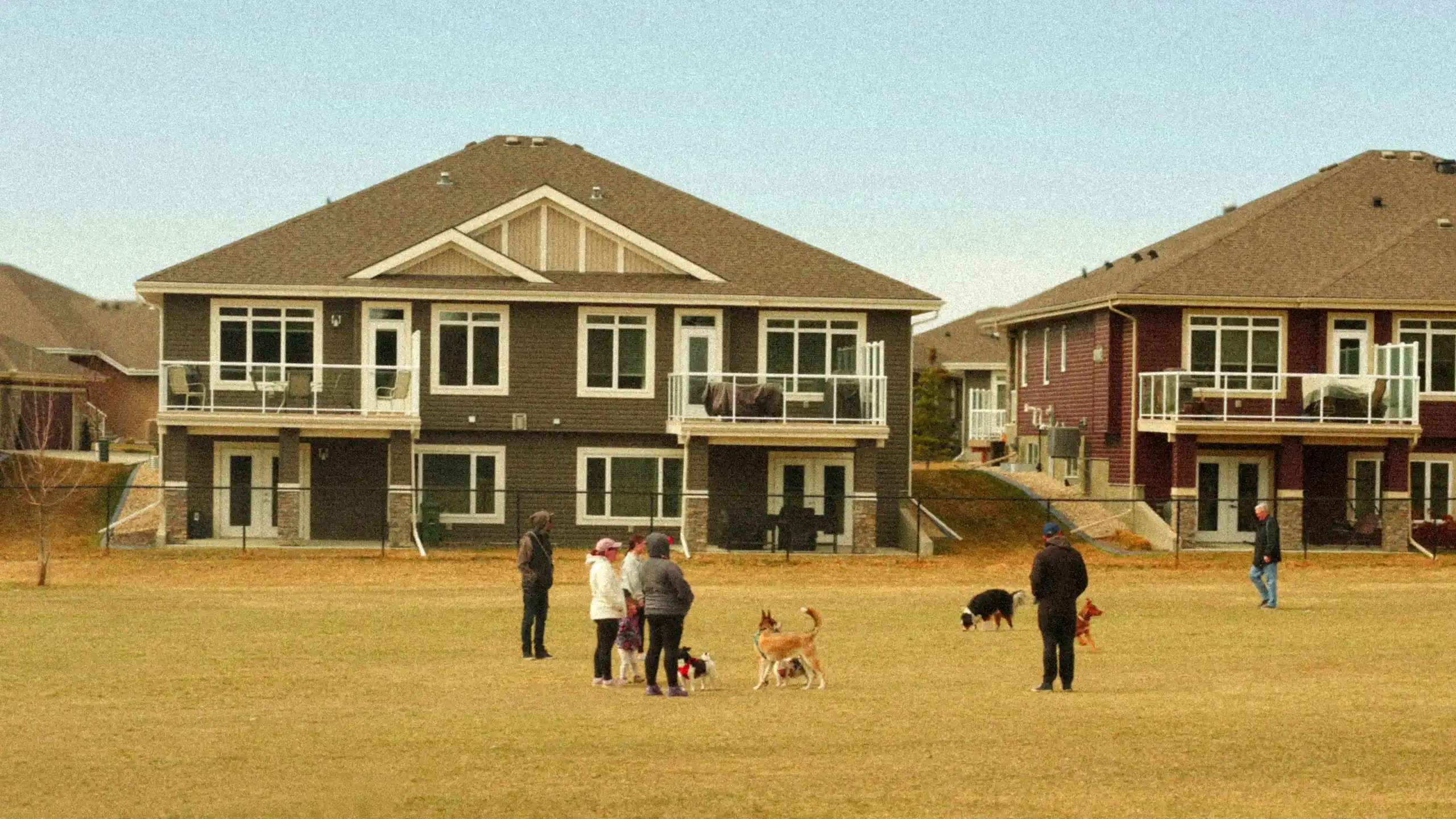 Adults and dogs outside suburban homes, representing intentional living communities for special needs adults Adults and dogs outside suburban homes, representing intentional living communities for special needs adults